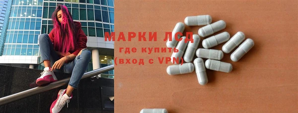 прущий лед Новозыбков