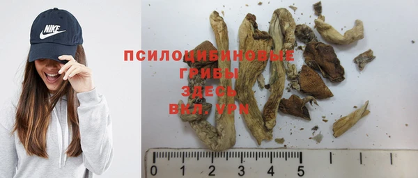 марки nbome Нязепетровск