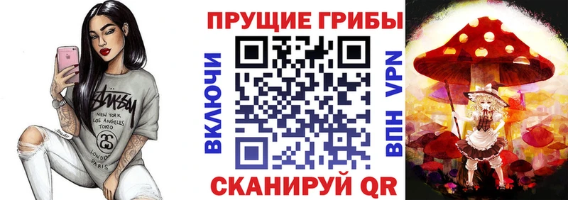 закладка  Калининск  Галлюциногенные грибы Psilocybe 